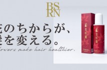 bsns4