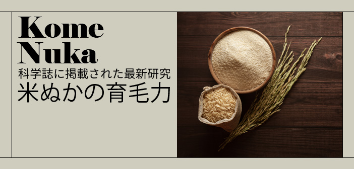 米糠由来成分で薄毛改善？最新研究が明かすイノシトール＆フィチン酸の驚きの効果